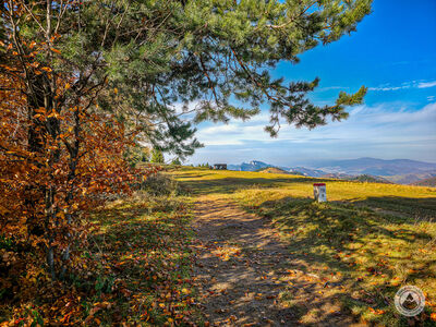 Durbaszka - widok na Trzy Korony