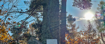 Durbaszka [Durbaszka 934 m n.p.m.]