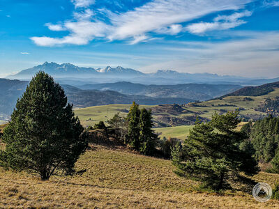 Widok na Tatry z niebieskiego szlaku między Durbaszką a Wysokim Wierchem