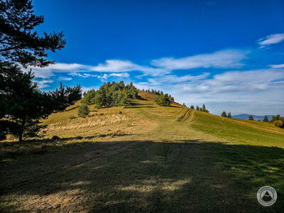 Wysoki Wierch 898 m n.p.m.
