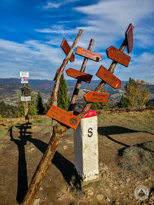 Wysoki Wierch 898 m n.p.m.