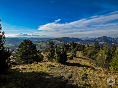 Wysoki Wierch 898 m n.p.m. z widokiem na Tatry i Trzy Korony