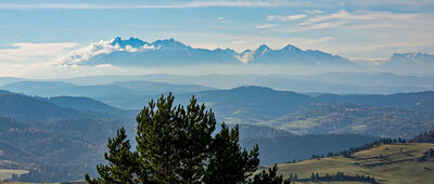 Šlachovky, granica ↔ Wysoki Wierch [Wysoki Wierch 898 m n.p.m. z widokiem na Tatry]