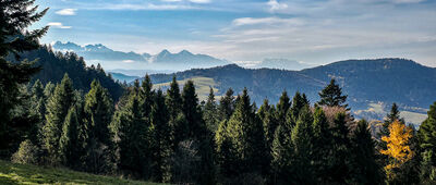 Pod Huściawą ↔ Skrzyżowanie pod Wysokim Wierchem [Widok na Tatry pod Huściawą]