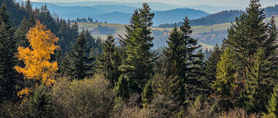 Pod Huściawą [Widok na Tatry pod Huściawą]