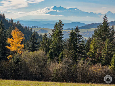 Widok na Tatry pod Huściawą
