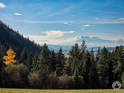 Widok na Tatry pod Huściawą