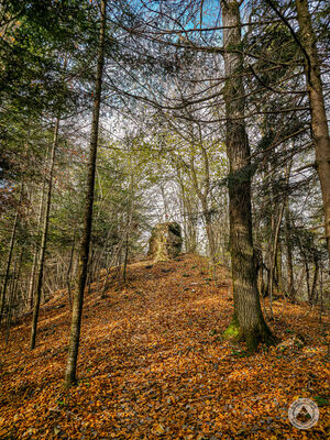 Witkula 736 m n.p.m.