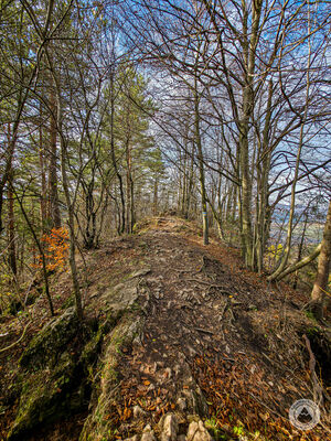 Szafranówka 742 m n.p.m.