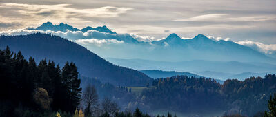 Palenica ↔ Szafranówka [Tatry z Palenicy]