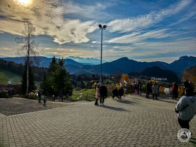 Palenica 719 m n.p.m.