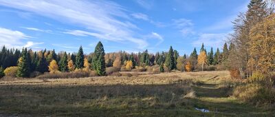 Przełęcz Gromadzka ↔ Obidza