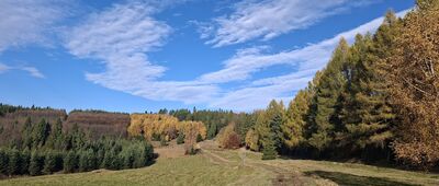 Litawcowa ↔ Obidza