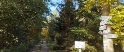 Osada Krakowiany [Skrzyżowanie szlaków przy gajówce Krakowiany]