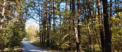 Łącznik do szlaku zielonego [Krakowiany, ul. Młynowa]