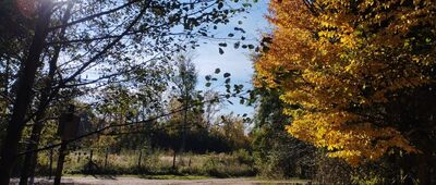 Osada Krakowiany [Obok gajówki Krakowiany]