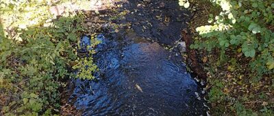 Łącznik do szlaku zielonego ↔ Osada Krakowiany [Utrata po wypłynięciu z zalewu w Krakowianach]