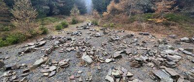 Jagodna ↔ Schronisko PTTK Jagodna