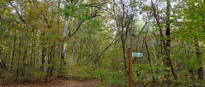 Runów, stacja kolejowa ↔ Złotokłos, boisko [Ścieżka edukacyjna w pobliżu przystanku Runów]