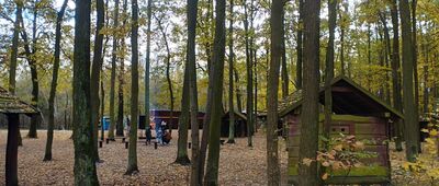 Runów, stacja kolejowa ↔ Złotokłos, boisko [Ognisko podczas postoju kolejki w Runowie]