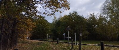 Runów, stacja kolejowa [Przejście przez tor w Runowie]