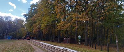 Runów, stacja kolejowa [Pociąg turystyczny w Runowie]