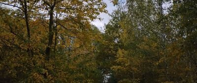 Runów, stacja kolejowa [Głosków, ul. Mazurka]