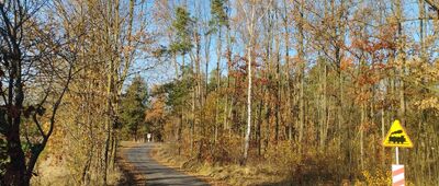 Radzyń Podlaski ↔ Turów [Przejazd kolejowy w Płudach]