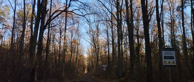 Radzyń Podlaski ↔ Turów [W kierunku Bedlna]