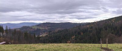 Wisła, ul. Skolnity ↔ Pod Jaworem