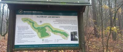 Traczyska ↔ Czarny Bryńsk