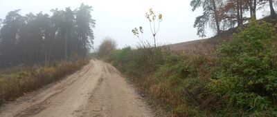 Wąpiersk ↔ Chełsty