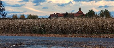 Świnice Wareckie, ul. św. Faustyny ↔ Świnice Wareckie [Zabudowania Zgromadzenia Sióstr Matki Bożej Miłosierdzia]