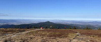 Śnieżnik ↔ Jaskółcze Skały
