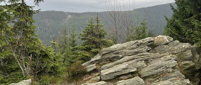 Żmijowa Polana ↔ Przełęcz Śnieżnicka, rozejście szlaków