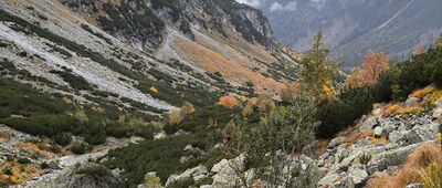 Hlinská dolina, ústie ↔ Vyšné Kôprovské sedlo [Hlinská dolina]