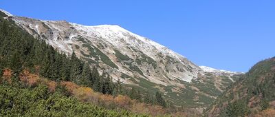 Pyszniańska Przełęcz ↔ Podbanské, rozc. [Widok z doliny Kamienistej w kierunku Bystrej]