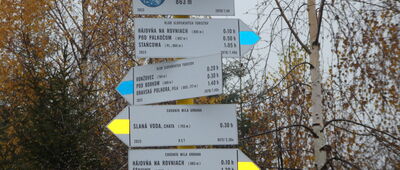 Paseky [W drodze na Babią Górę z Słonej Wody na Słowacji]