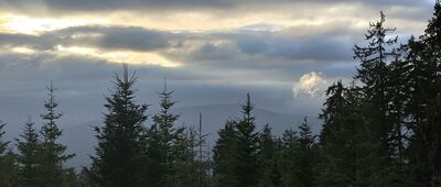 Mała Babia Góra ↔ Pod Borkom [Widok w kierunku Pilska]