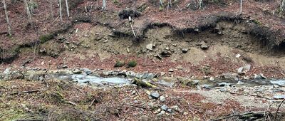 Bielawka ↔ Bielice, leśniczówka