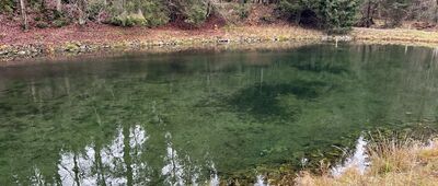 Bielawka ↔ Czarny Potok