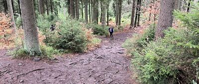 Czarny Potok ↔ Rezerwat Puszcza Śnieżnej Białki