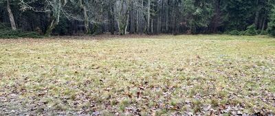 Rezerwat Puszcza Śnieżnej Białki ↔ Rudawiec