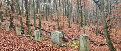 Skrzyżowanie szlaków ↔ Dąb Bogusława X [most Wilhelma Meyera]