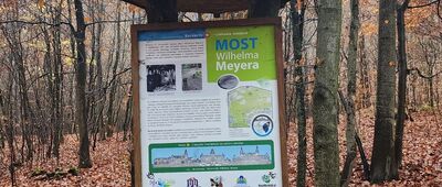 Skrzyżowanie szlaków ↔ Dąb Bogusława X