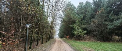 Ścieżka do rezerwatu Zielona Góra