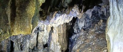 Rezerwat Zielona Góra