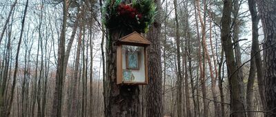 Ścieżka do rezerwatu Zielona Góra