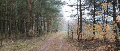 Ścieżka na Góry Towarne