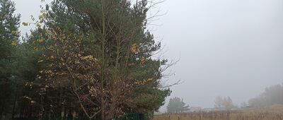 Ścieżka na Góry Towarne